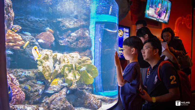 回忆那年在泰国踏浪看海,带你一起去泰国看海