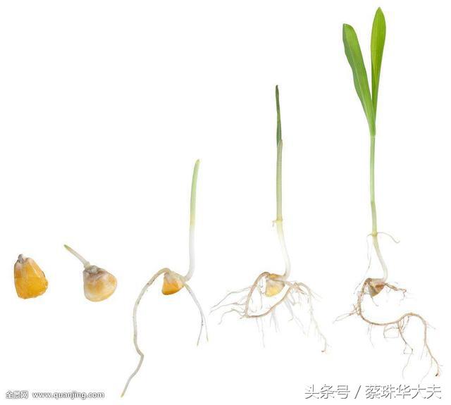 实习医生误诊宫外孕后续,宫角孕和宫外孕会误诊吗