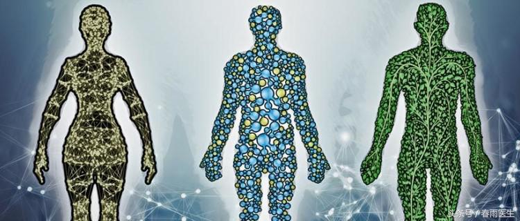 长痘湿气重便秘吗,体内毒素太多便秘长痘痘怎么排毒