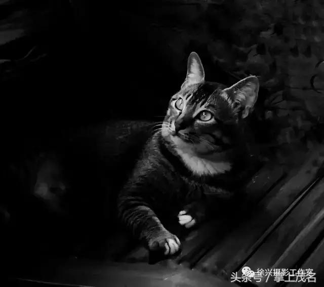 手机摄影田园生活图片,手机摄影主题