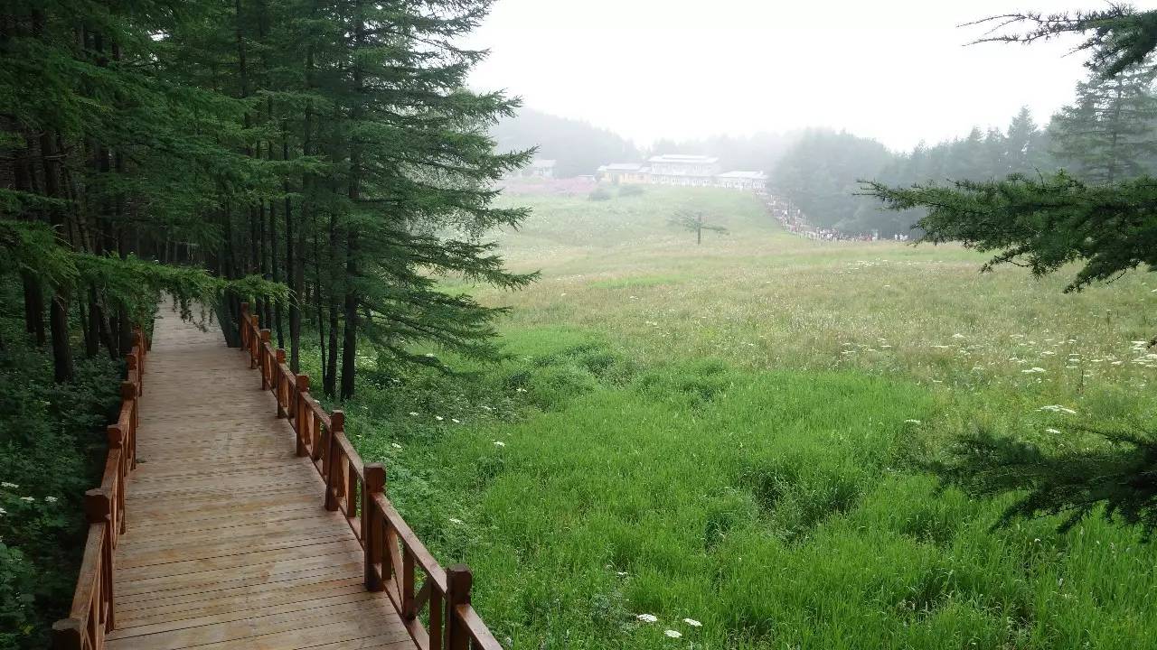 驼梁在石家庄什么地方,石家庄驼梁在石家庄的什么位置