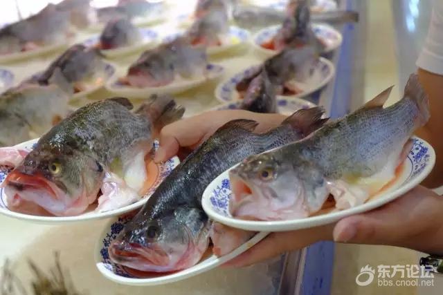 宁波最具有性价比的自助餐,宁波最廉价的自助餐
