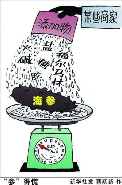 什么样口感的海参品质好 (大连海参干货纯野生淡干)