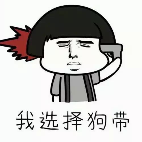 收益最高的货币基金,货基未来最低收益