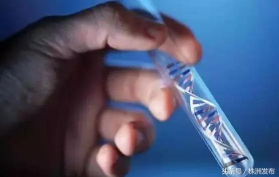 株洲市中心医院全国排名,株洲中心医院全国排名