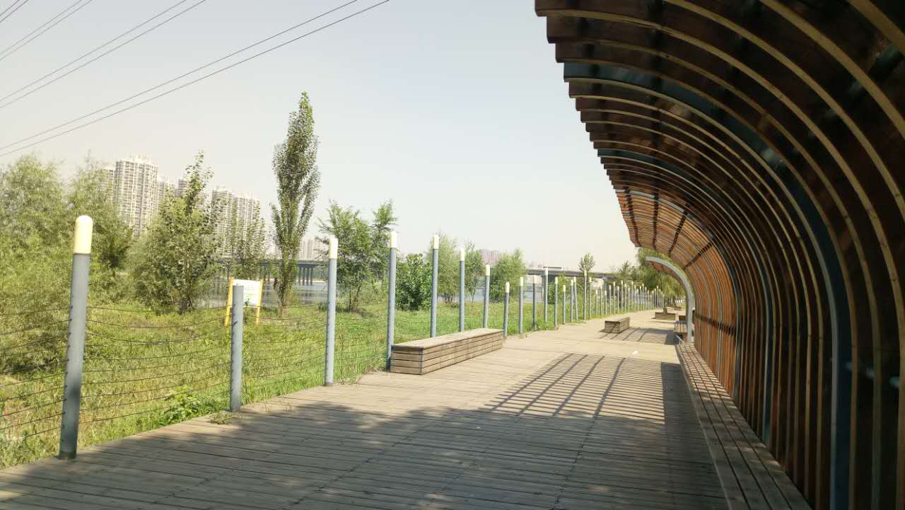 沈阳长白岛森林公园有海吗,游沈阳的长白岛森林公园400字作文