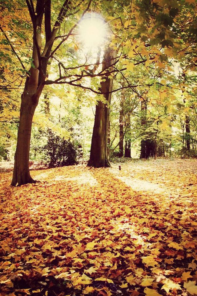 高一化学电解池知识点,高中化学电解池原理知识点