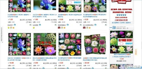淘宝店铺卖的花卉是正品吗安全吗,淘宝花店骗局揭秘图片