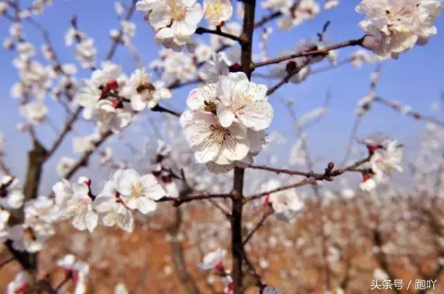 神秘北纬30度在皖南,皖南川藏线北纬30度