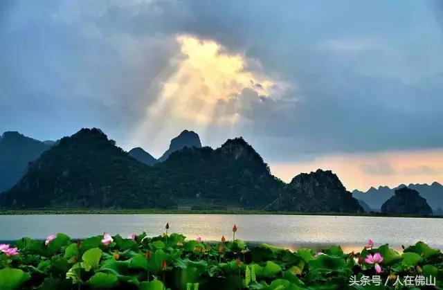 佛山西站出发动车直达!九月的普者黑,美成一幅脱俗的3D田园画~