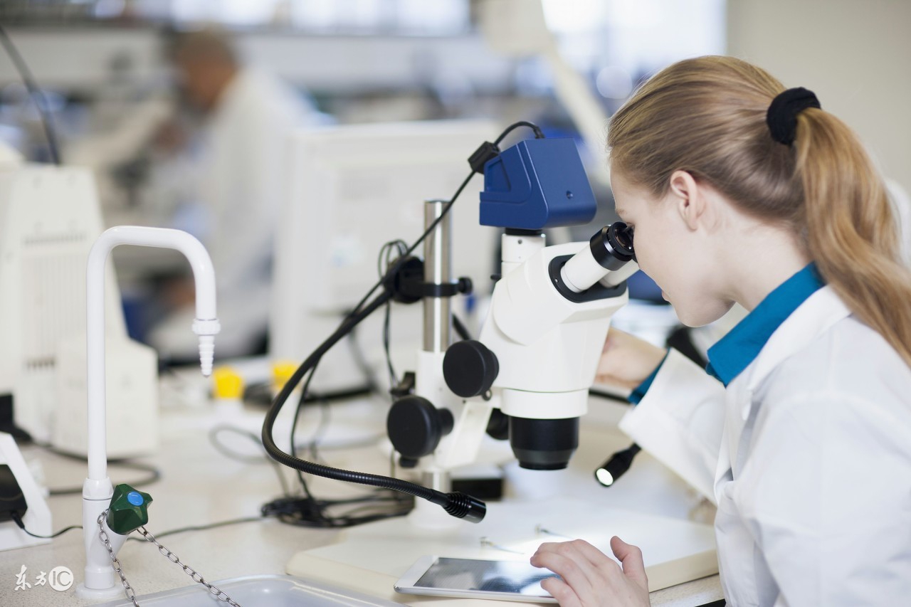 博腾股份未来估值,博腾股份股权分析