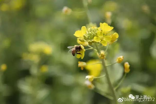 若要择一城终老，有谁不选潜山呢？