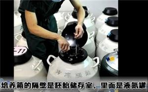 人工授精遭罪还是试管婴儿遭罪,试管婴儿的全部流程图解大全