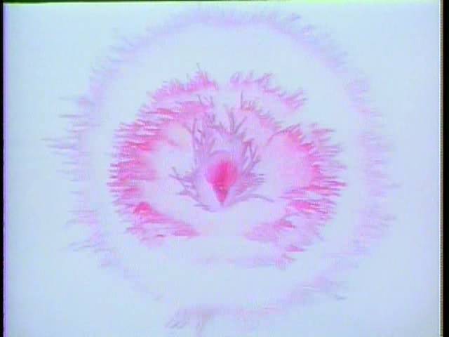 十部不适合男子看的动画,宅男必看的十部动画