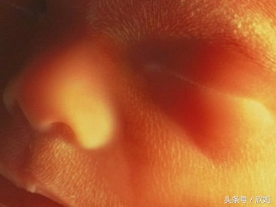 妈妈知道宝宝在肚子里,胎宝宝在肚子里的发育