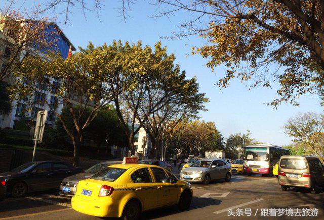 重庆最美黑山谷景区,重庆万盛黑山谷旅游如何