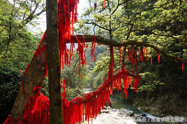 重庆最美黑山谷景区,重庆万盛黑山谷旅游如何