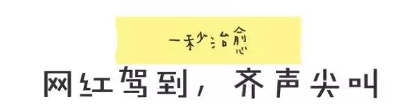 十大网红酒店产品,国际五星酒店和国内五星酒店