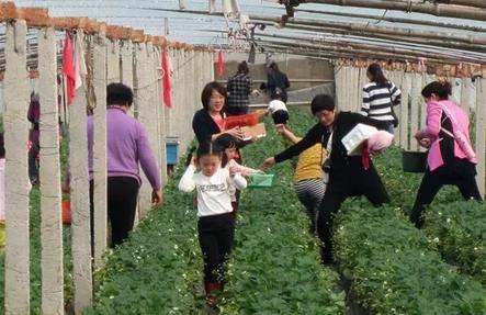 烟台踏青最佳方案,烟台最好的踏青方法是什么