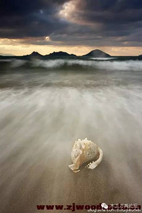 纯实木，究竟有多难？——解密实木家具，兼谈达芬奇事件