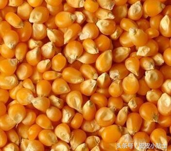 一岁半小孩长湿疹可以吃哪些食物,吃高蛋白食物诱发湿疹