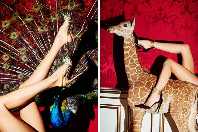 没有美肤袜怎么办,没有脚后怎么训练