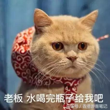 50块钱就能买到的口红,50块的口红和100的区别