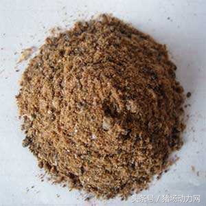 养猪补料最佳时间,养猪换料技巧