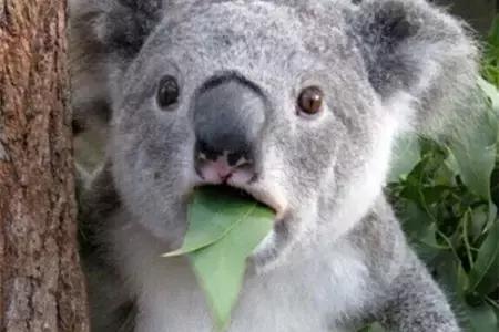 2017年的跨境电商重大事件,跨境电商最新爆单