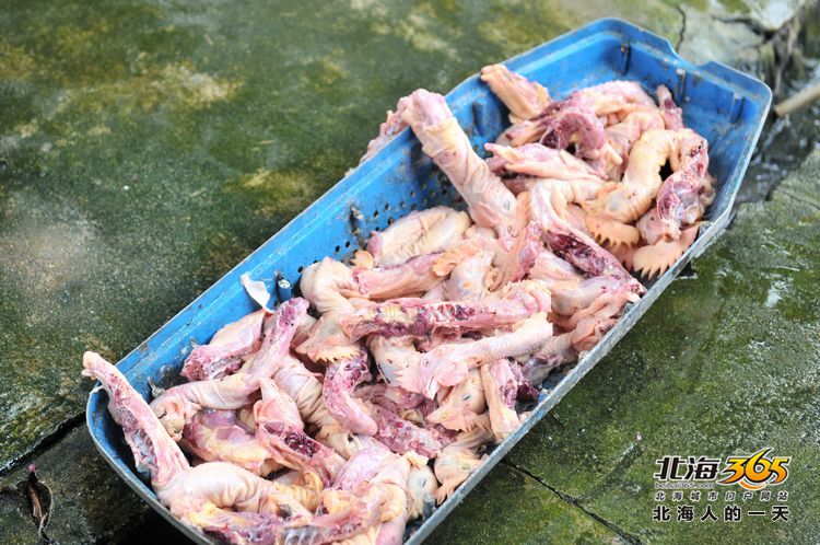 陈荣华北海,北海人的一天