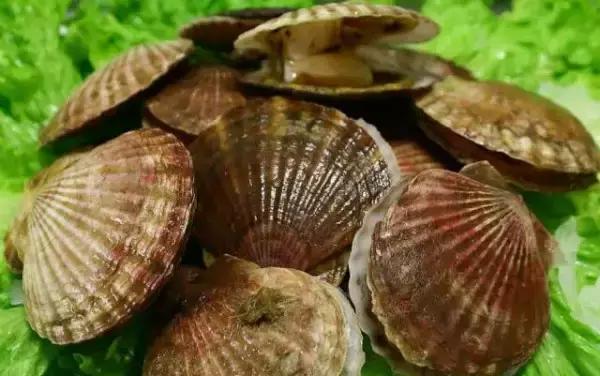 烟台人炫富方式,烟台开海炫富是真的吗