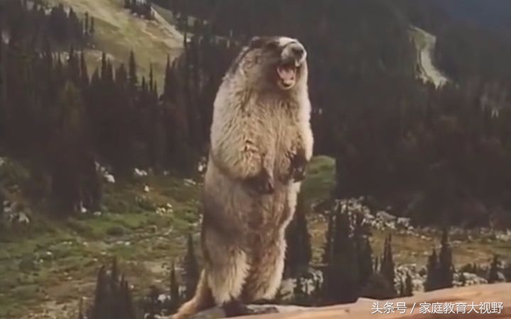 孩子情绪委屈怎么教育,家庭教育正确引导孩子情绪表达