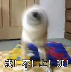 排队7小时买网红糕点,上海网红蛋糕店ladym