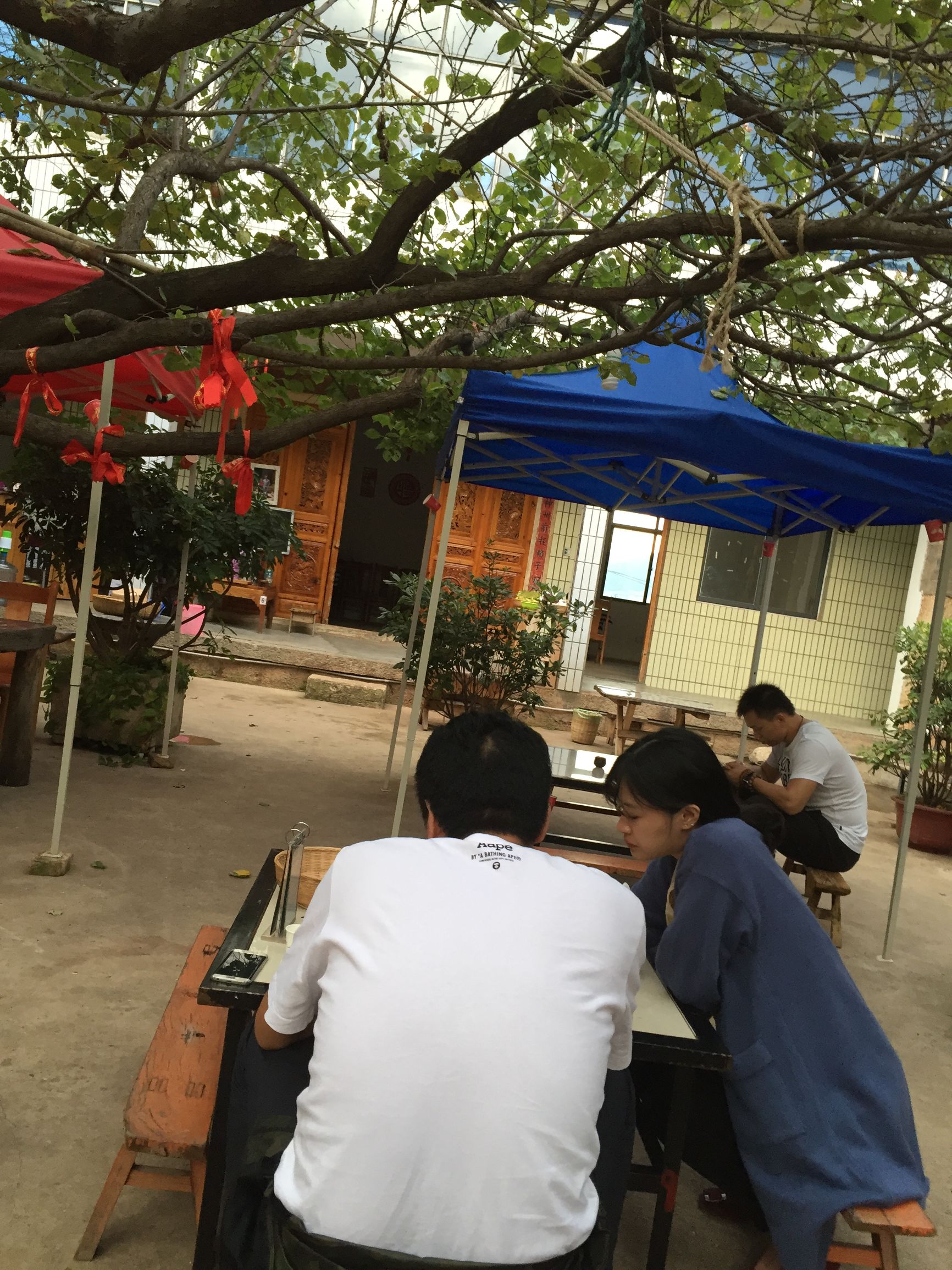 这个国庆长假，难忘大理洱海小岛上那个农家小倌的炖鸡汤