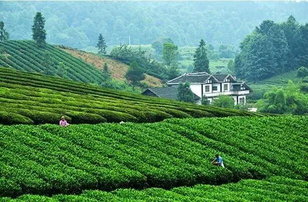 贵州方言笑死人的句子,贵州方言笑死人了