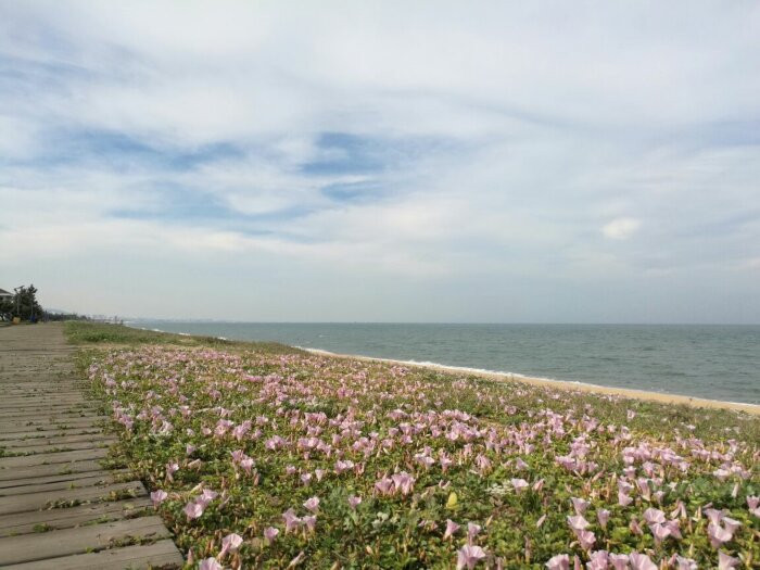 日照海捕海鲜有哪些,日照赶海后抓到的海鲜去哪儿吃