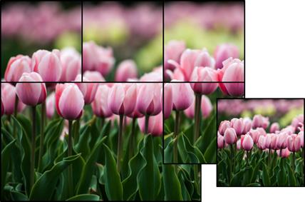 ppt特色背景墙效果图,ppt卡通照片墙排版布局