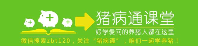 猪出现什么症状就快死了,如果猪生病会要怎么处理