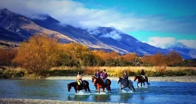 新西兰南+北岛8日自驾路线，像风一样自由！