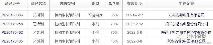 棉花后期乙烯利催熟剂,乙烯利在棉花上催熟的使用方法