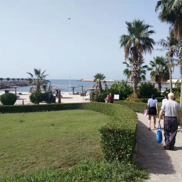 学姐学长的朋友圈,飞过一整个世界