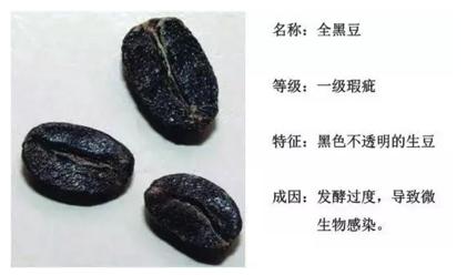 喝了咖啡恶心呕吐是什么原因,喝咖啡后恶心呕吐是怎么回事