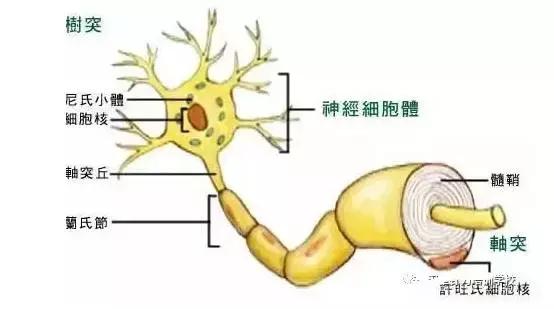 睡觉醒来手麻是什么原因和征兆,手麻的原因分析及简单评估