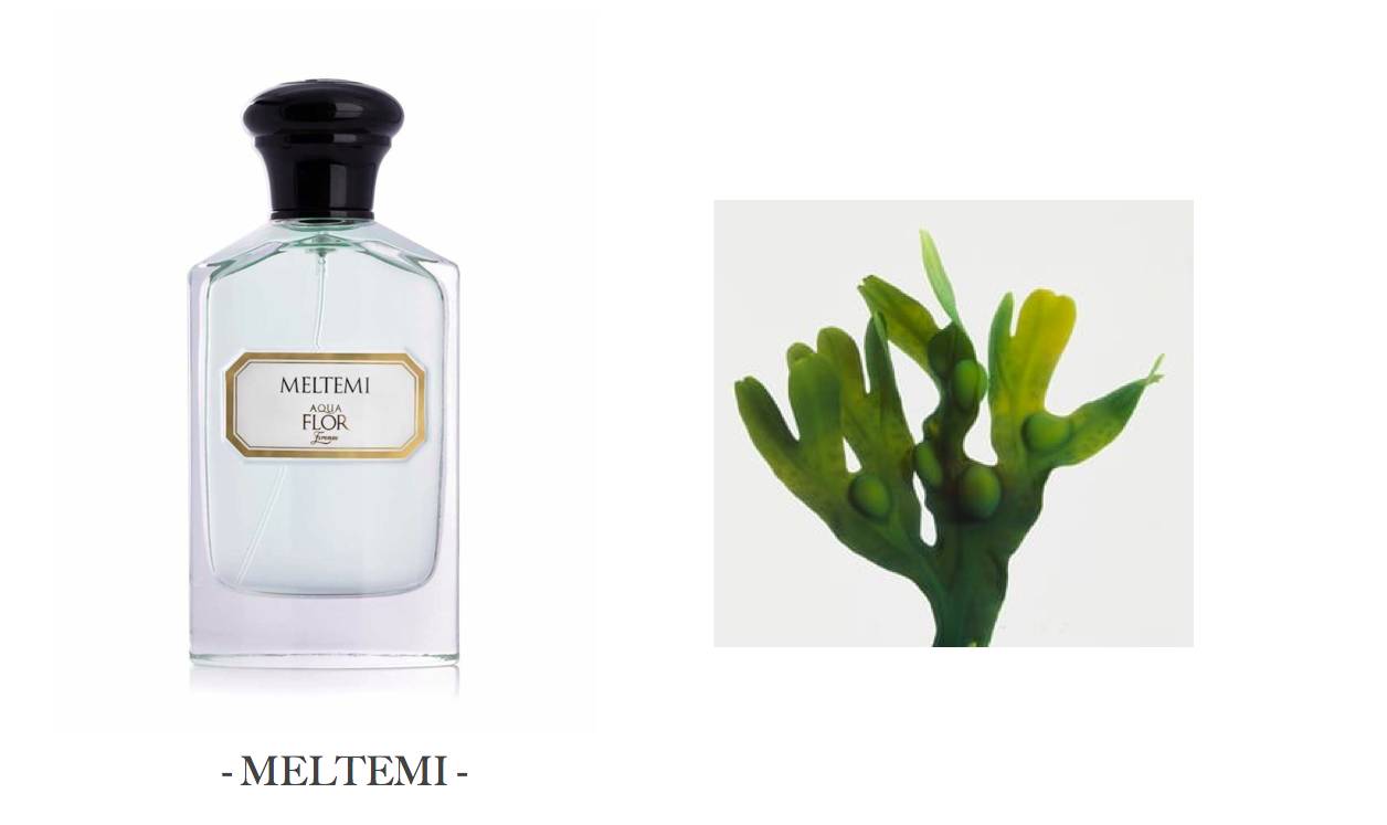 法国顶级奢侈品香水 (法国最香香水)