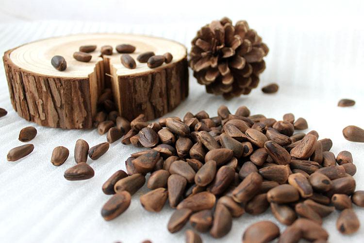 长白山松子是干果吗,长白山野生极品松子