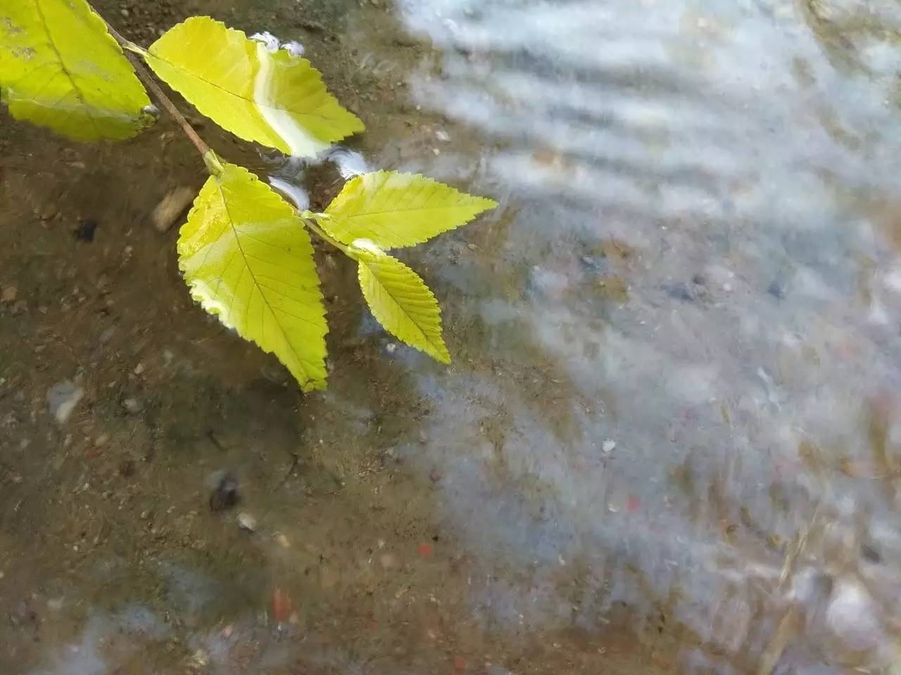 红米note5a吃鸡画质,红米note5a实际体验