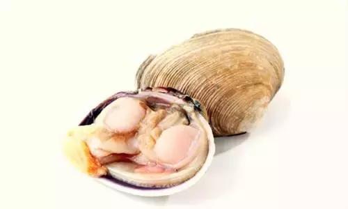 全球公认最好吃的五种贝类,比较特别的贝类有哪些