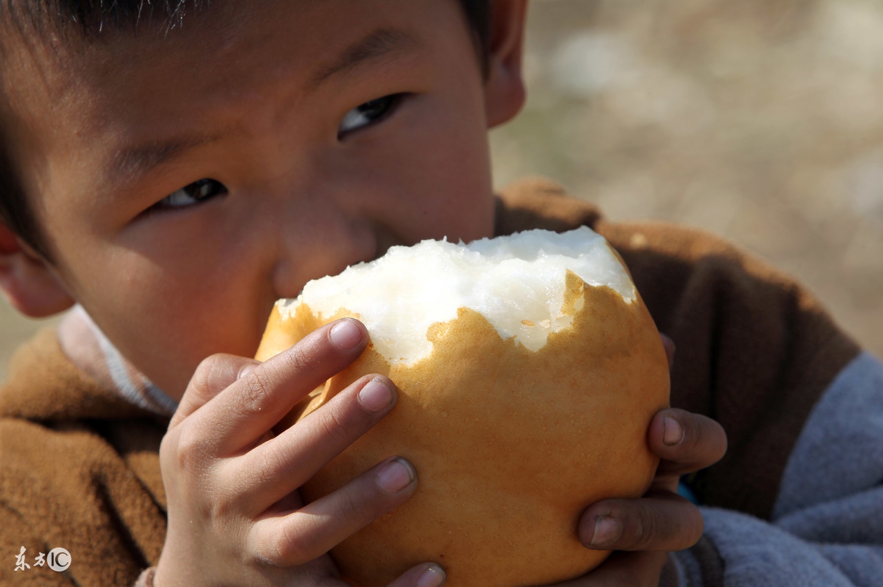 母梨和公梨怎么分,母梨和公梨哪个甜