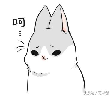 坂本大佬合集解析,新一代坂本大佬