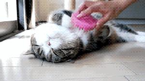 新鞋脚后跟磨脚最好的小窍门,新鞋小脚趾部位磨脚怎么办